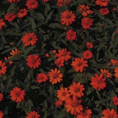 hth华体育(中国)官方入口下载手机版